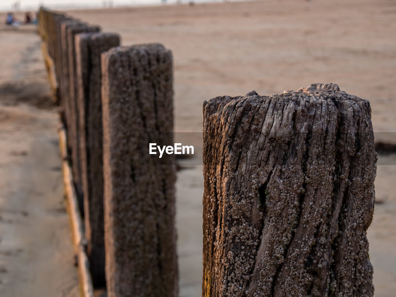 CLOSE-UP OF WOODEN POST