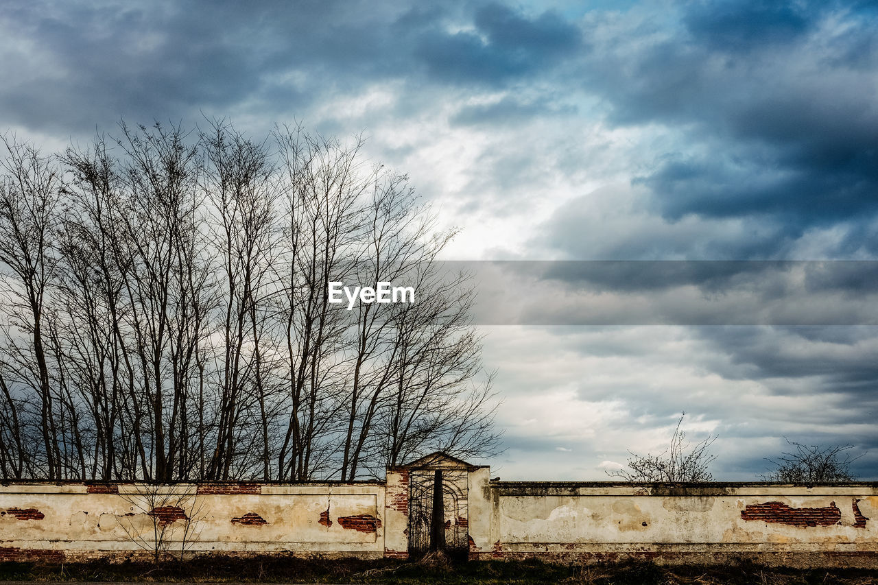 Bare trees against cloudy sky