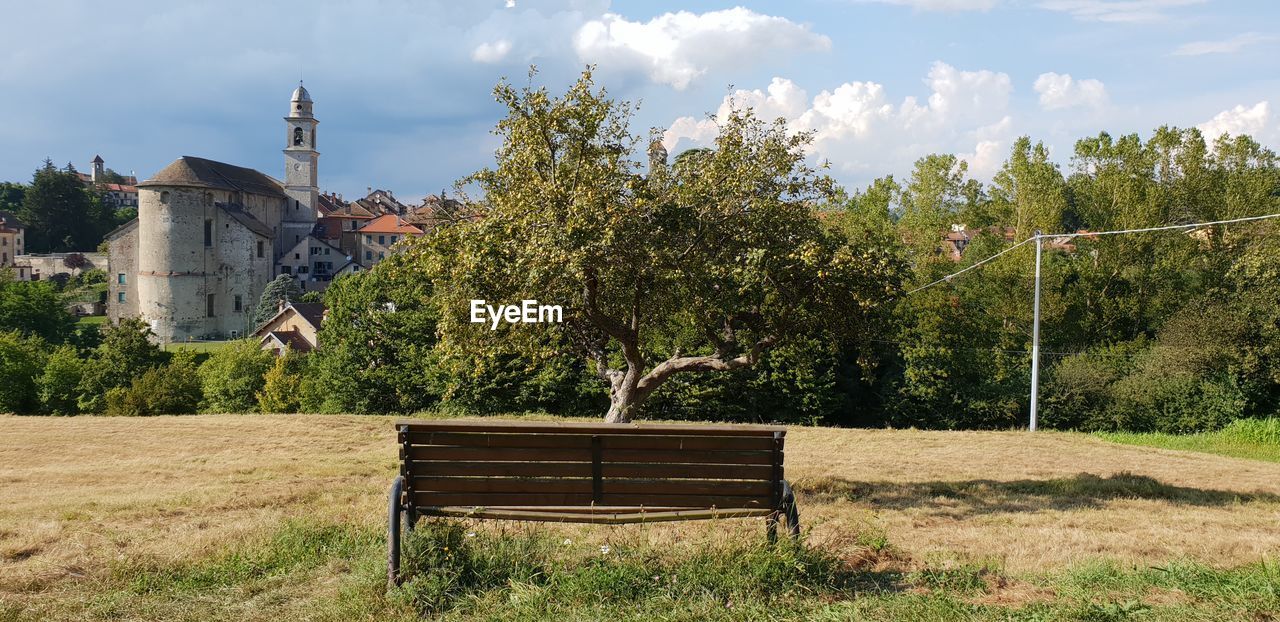 Bench against trees and plants on field
