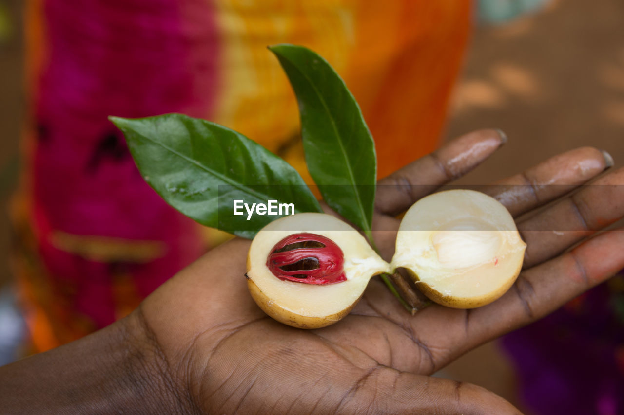 Cropped hand of man having fruit