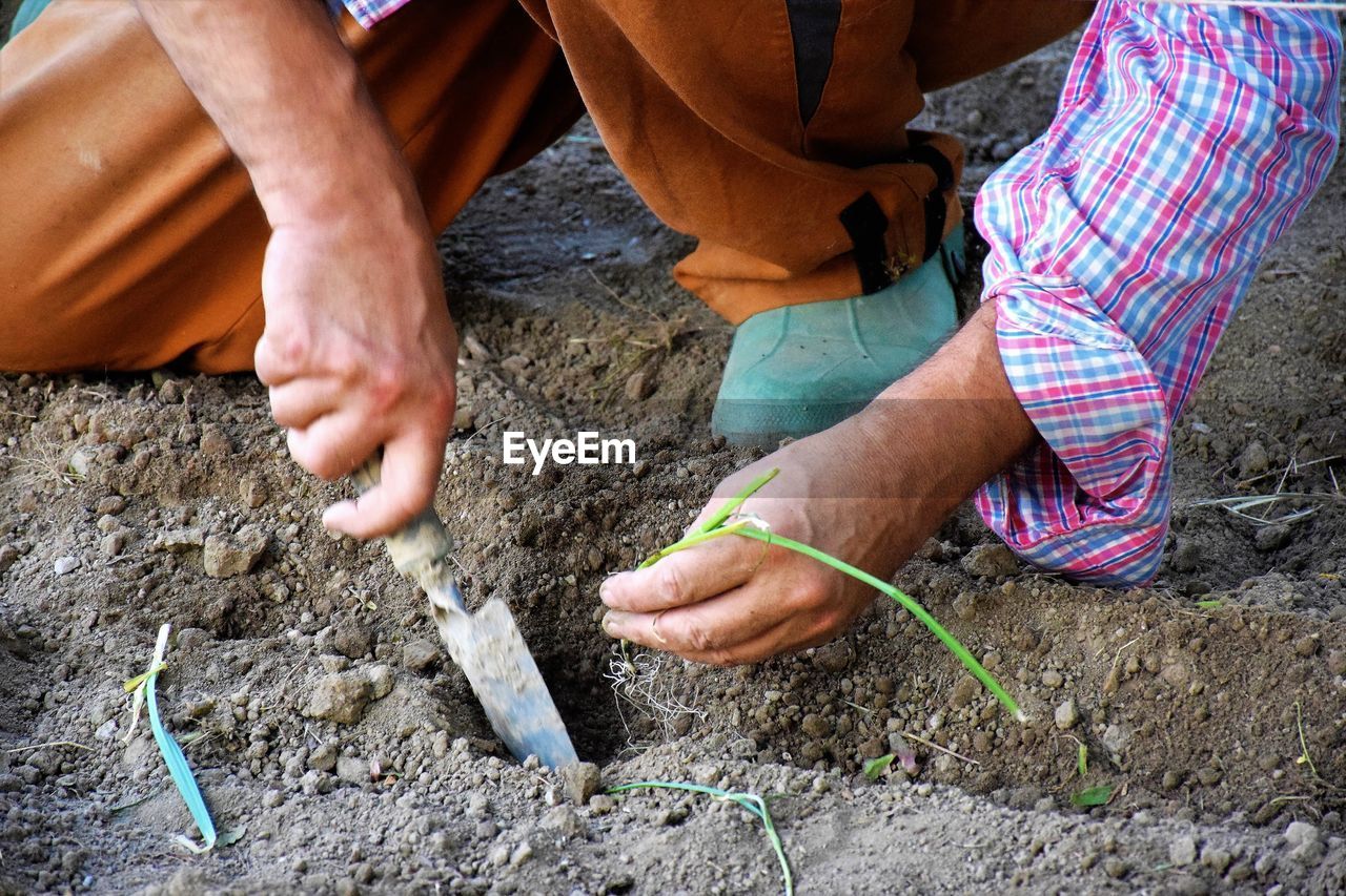 Low section of man planting on field