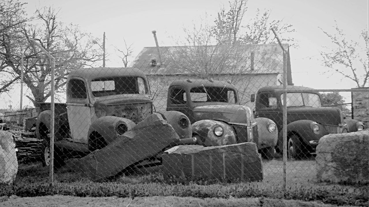 Abandoned cars seen through chainlink fence