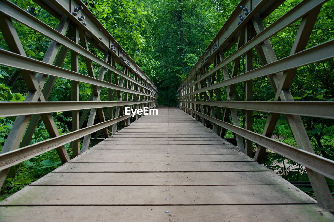 Footbridge in forest