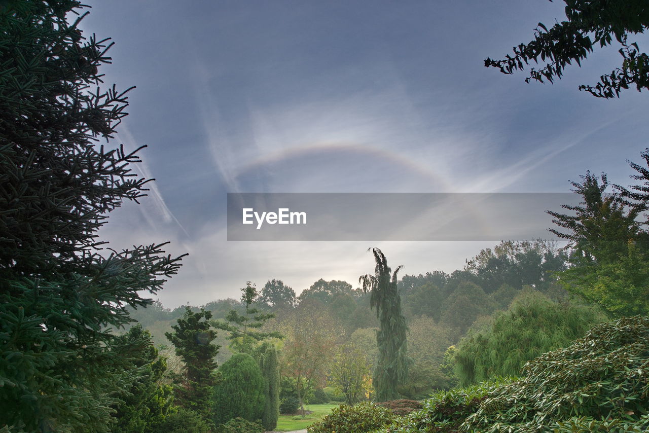 SCENIC VIEW OF RAINBOW OVER TREES AND SKY