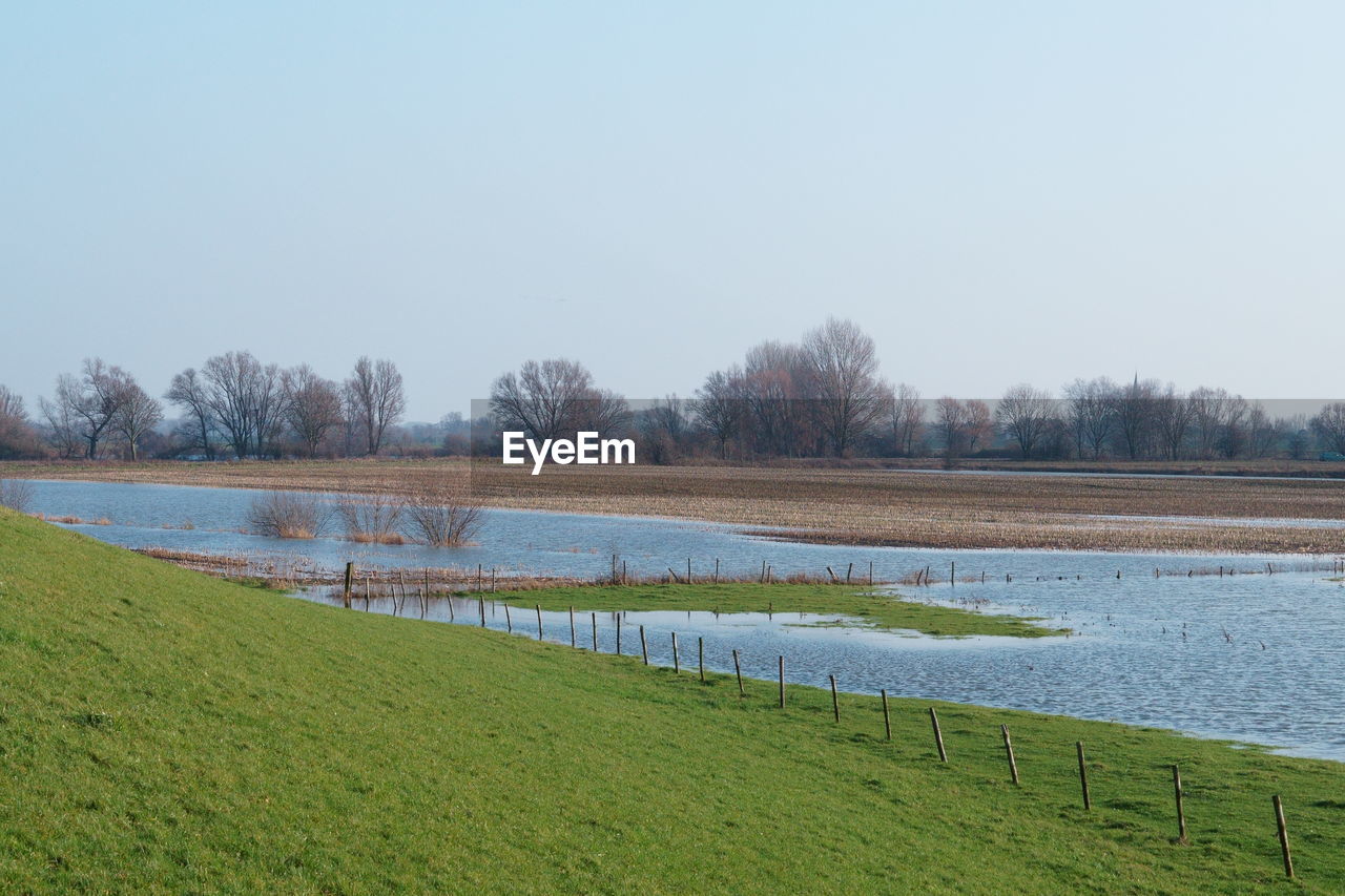 SCENIC VIEW OF GRASSY FIELD AGAINST CLEAR SKY