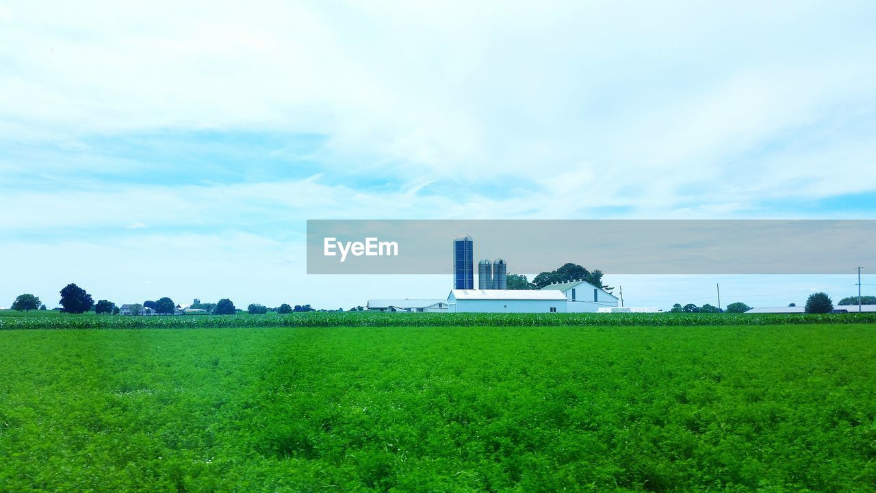 TREES ON GRASSY FIELD AGAINST CLOUDY SKY