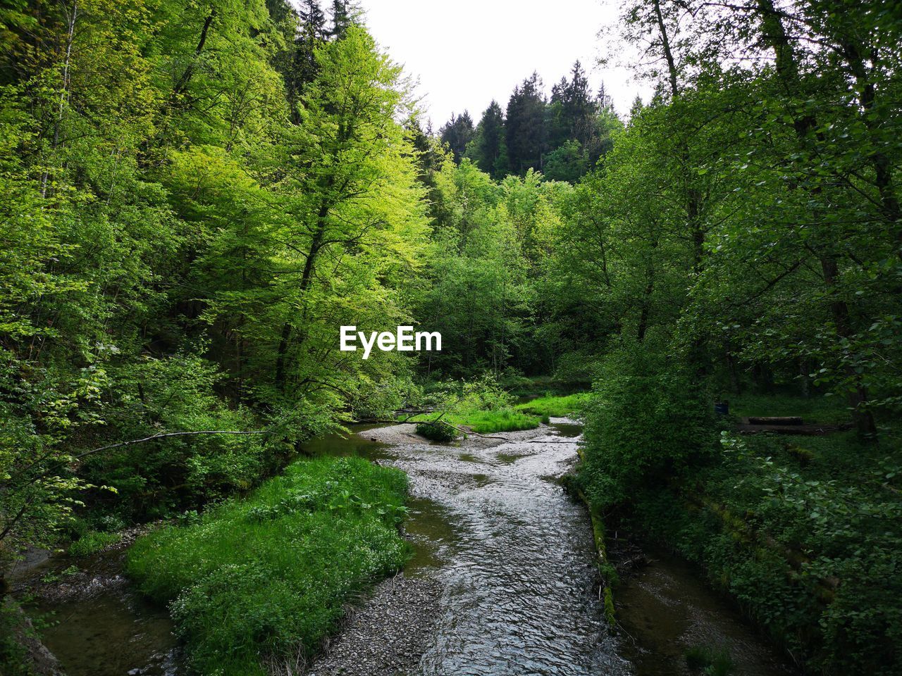 Small river