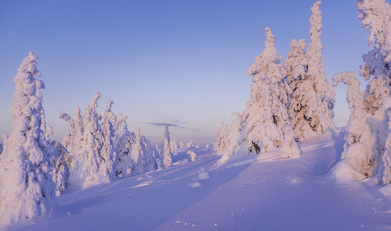 Snow covered landscape against blue sky