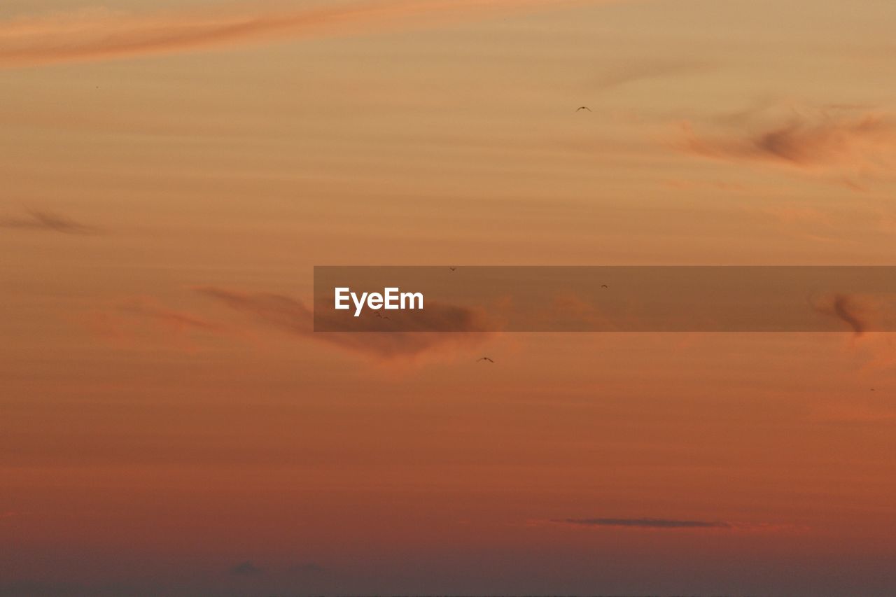 LOW ANGLE VIEW OF ORANGE CLOUDS IN SKY