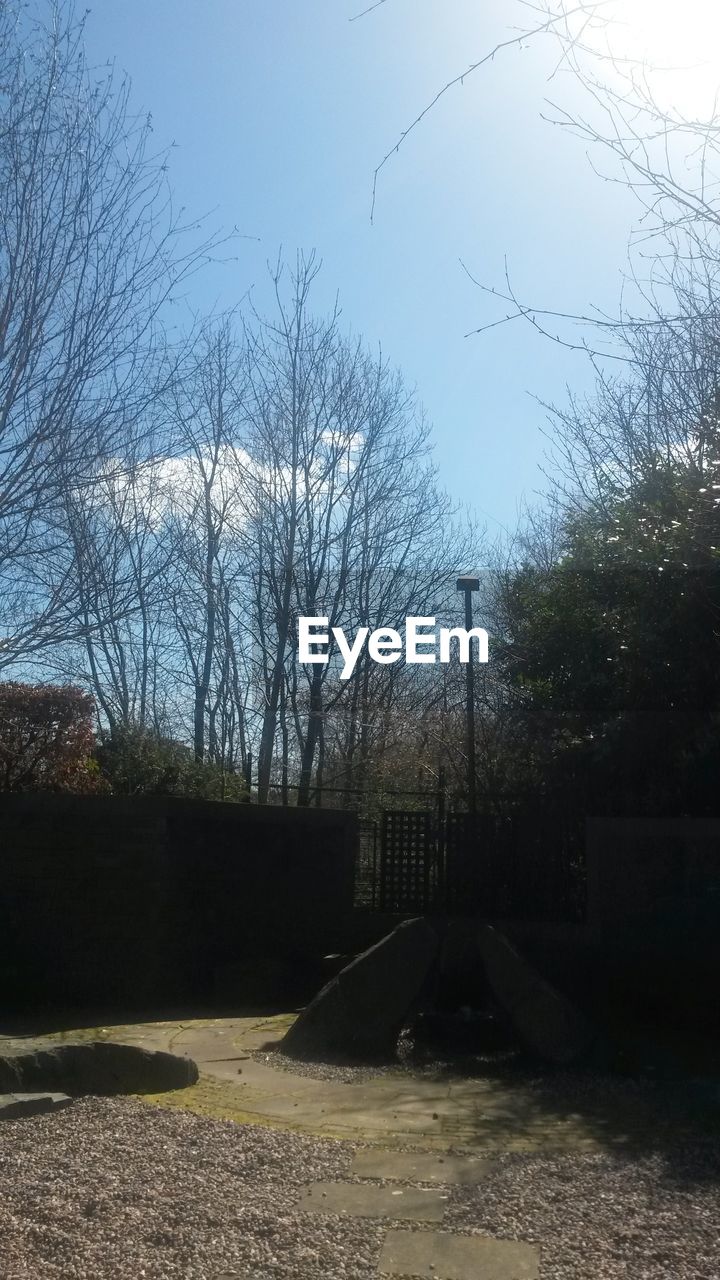 SCENIC VIEW OF BARE TREES AGAINST SKY