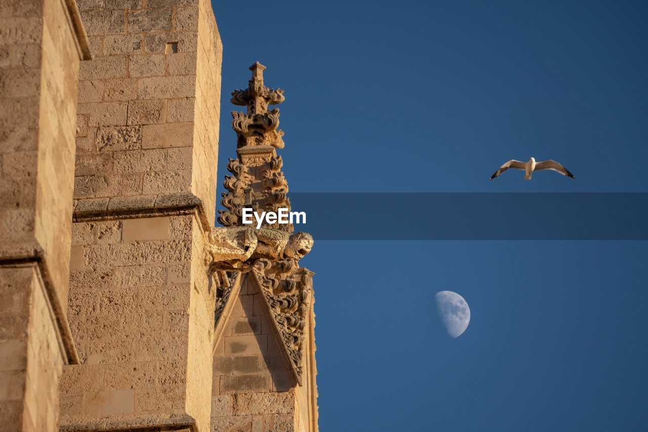 Low angle view of birds flying against clear blue sky