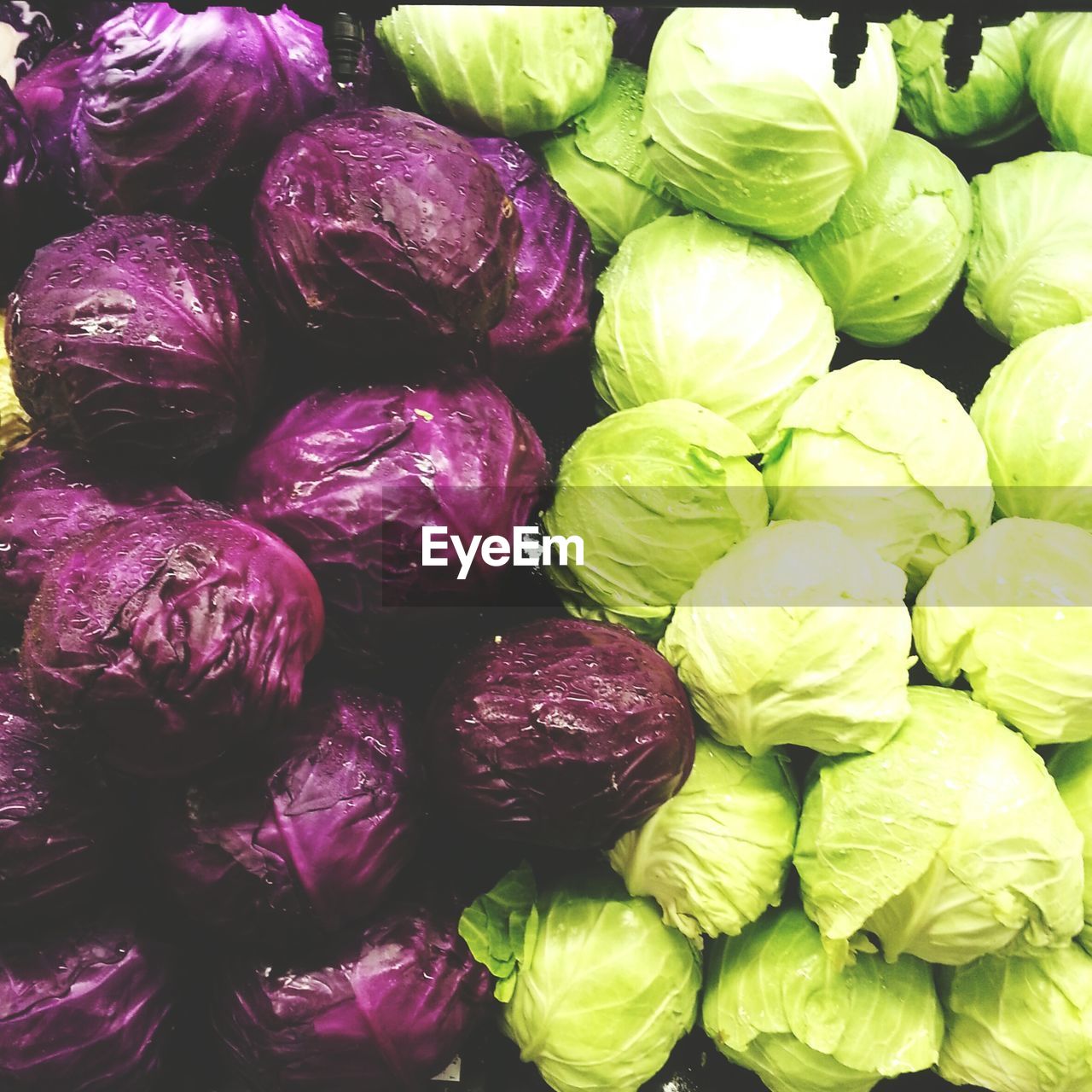 High angle view of various fresh cabbages at shop