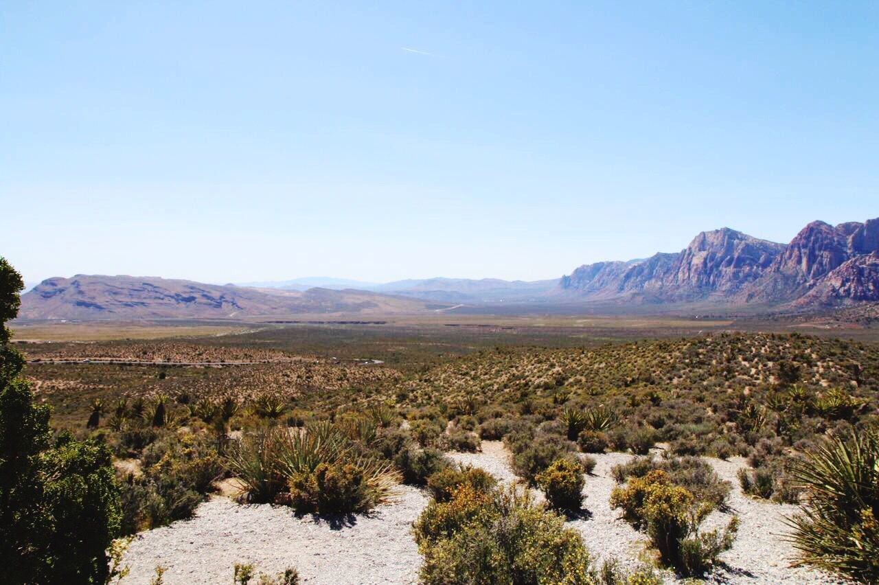 Scenic view of landscape against blue sky