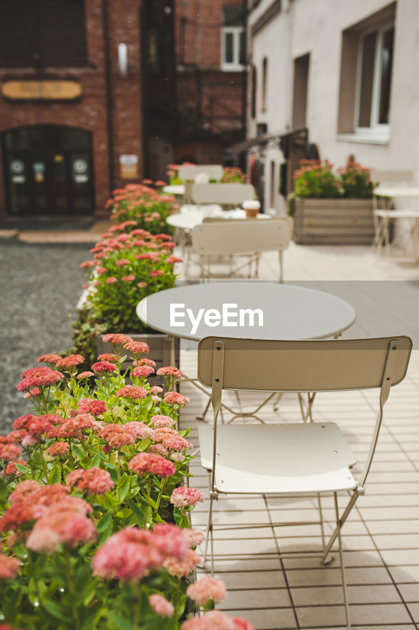 Stylish cozy street cafe with flowers