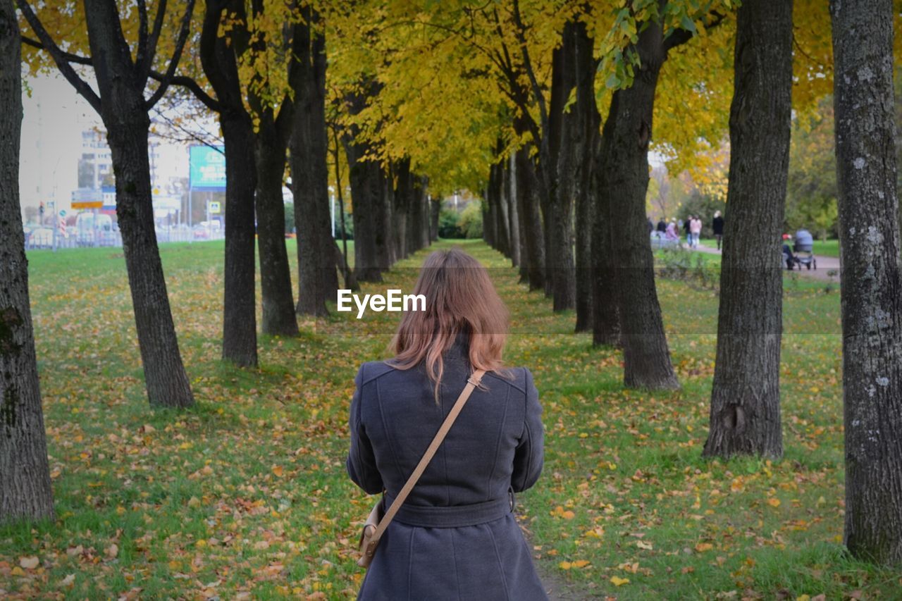 Rear view of woman standing on field amidst trees at park during autumn