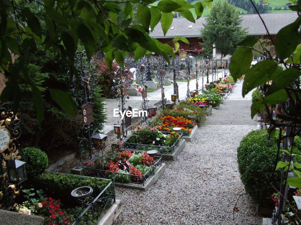 NARROW FOOTPATH IN GARDEN