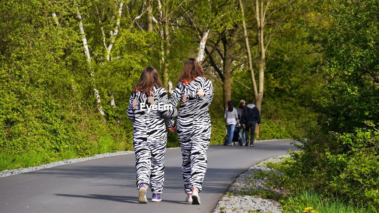 Rear view of female friends wearing zebra costume walking on road in forest