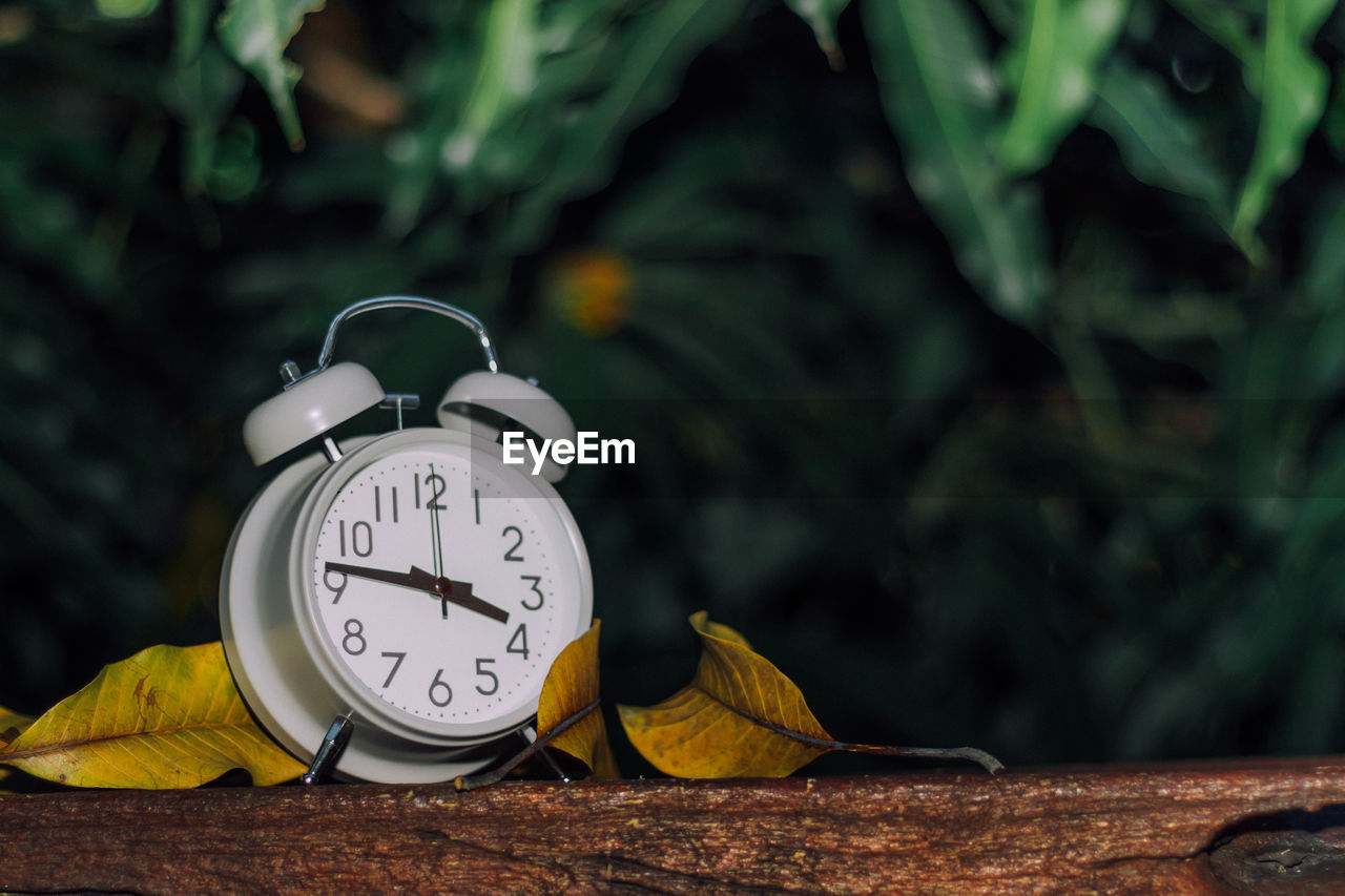 Close-up of alarm clock on wood during autumn