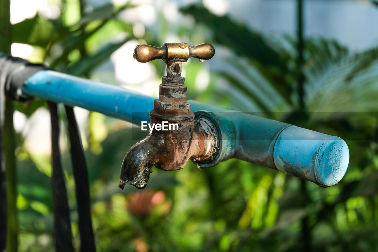 Close-up of rusty faucet at park
