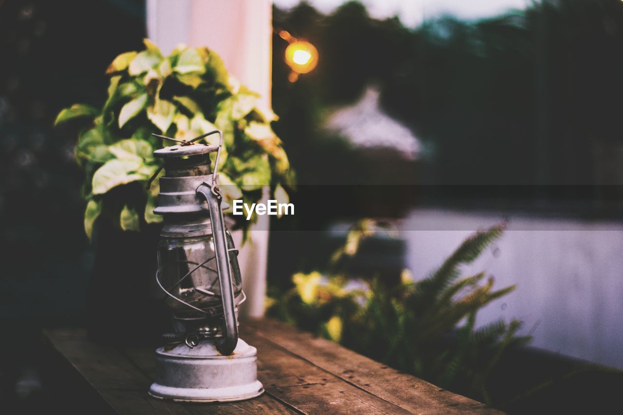 Lantern on table by plant during sunset