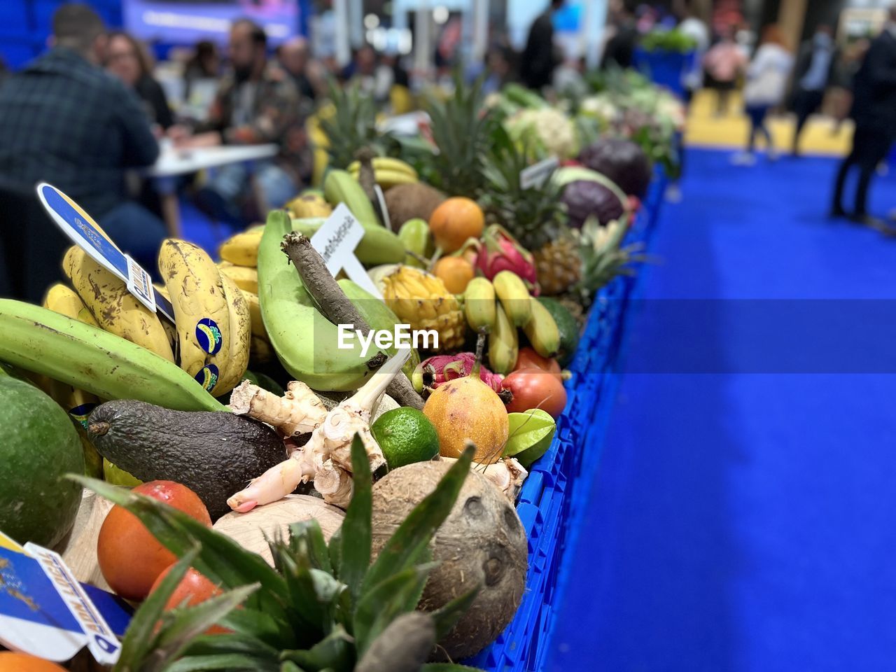 food and drink, food, healthy eating, market, vegetable, freshness, retail, wellbeing, market stall, fruit, business, variation, abundance, business finance and industry, city, flower, public space, large group of objects, for sale, day, container, banana, outdoors, crate