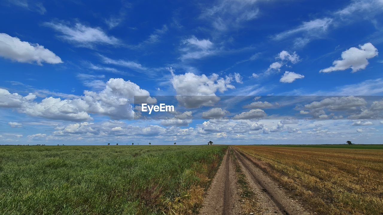 Scenic view of agricultural field against sky