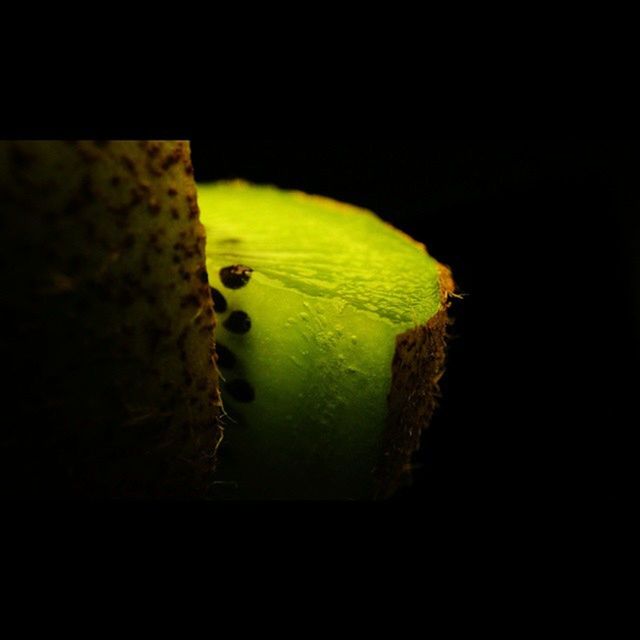 CLOSE-UP OF YELLOW OBJECT OVER BLACK BACKGROUND