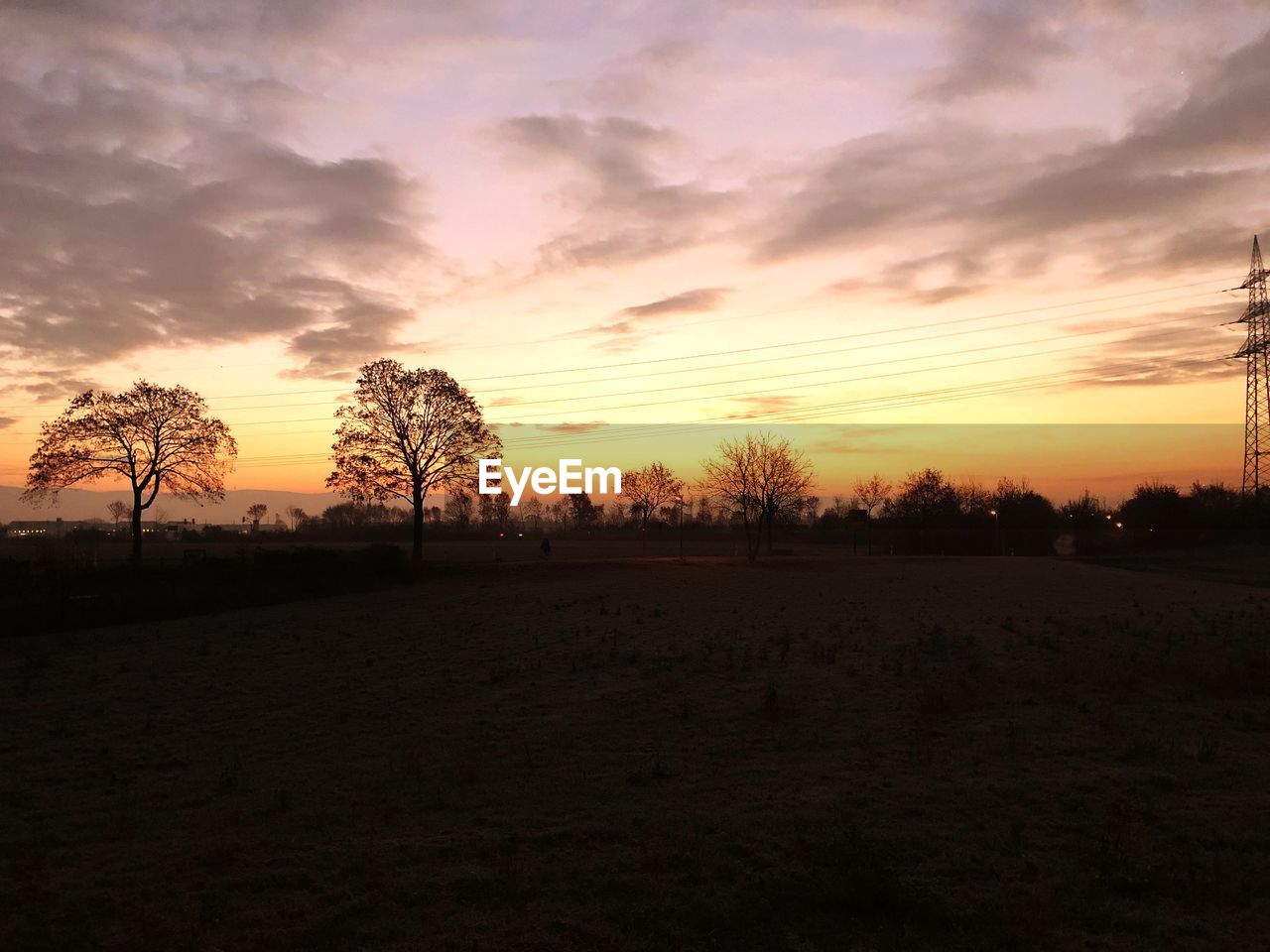 SILHOUETTE TREES ON FIELD AGAINST ORANGE SKY