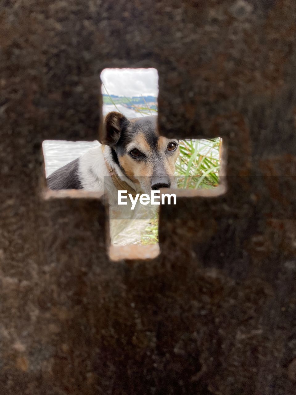 no people, close-up, representation, wood, focus on foreground, indoors, religion