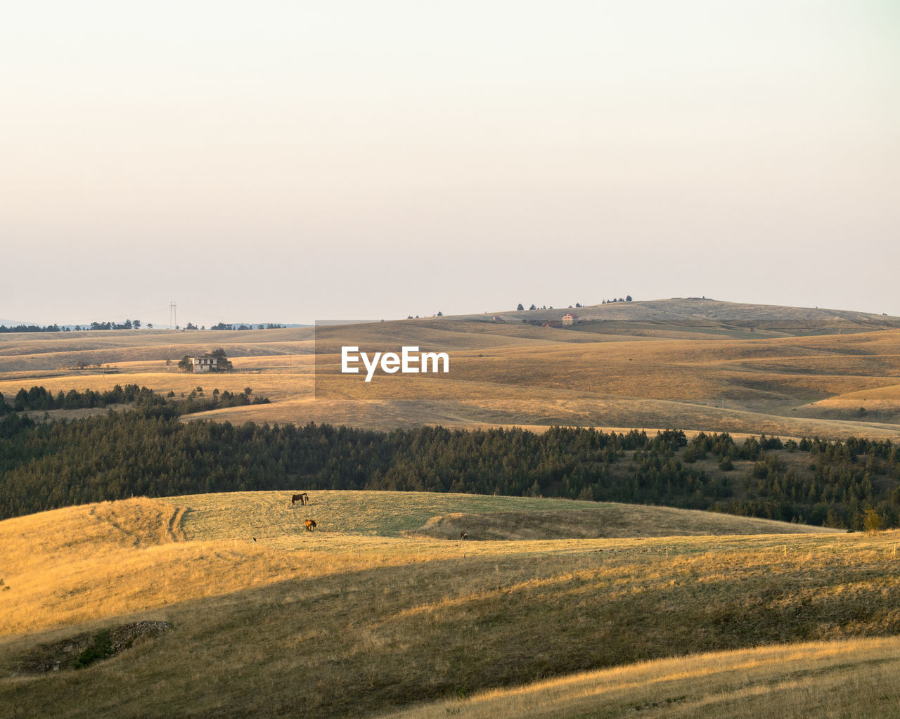 Scenic view of field against clear sky