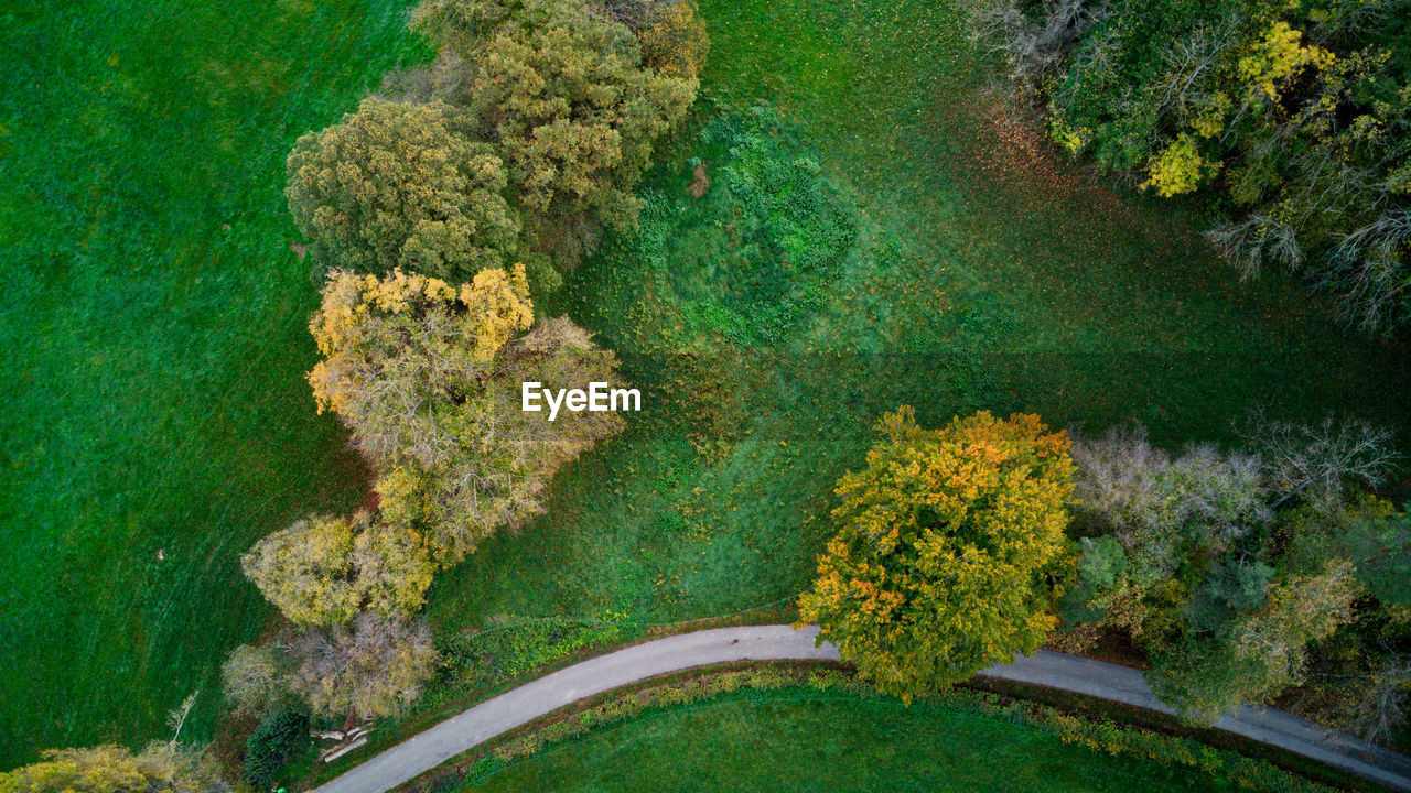 plant, reef, green, high angle view, nature, water, growth, beauty in nature, no people, tree, tranquility, aerial photography, day, flower, aerial view, scenics - nature, land, environment, leaf, outdoors, tranquil scene, vegetation, shrub, garden, landscape