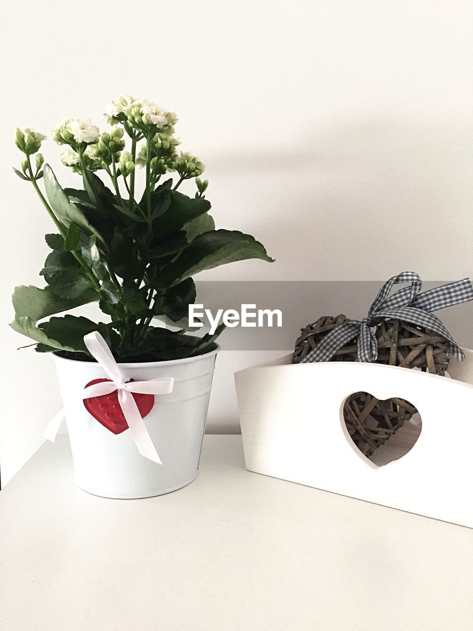 CLOSE-UP OF FLOWER VASE ON TABLE AGAINST WHITE BACKGROUND