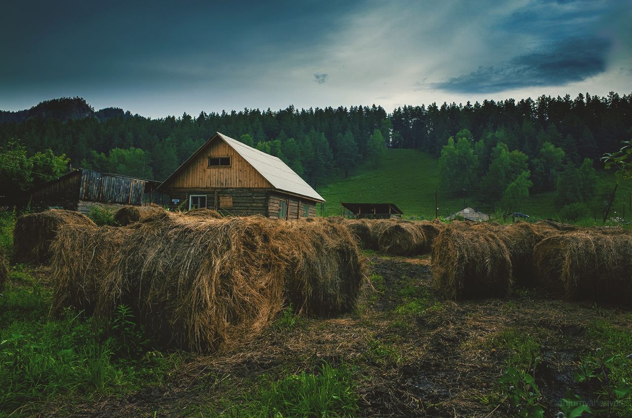 Hay bales on field against sky