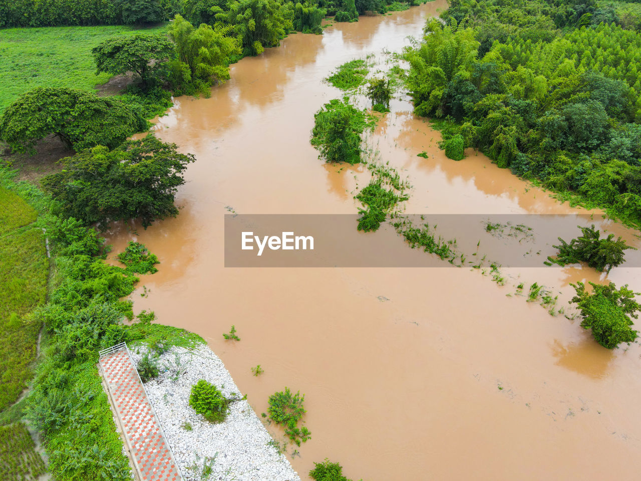 HIGH ANGLE VIEW OF RIVER AMIDST TREES