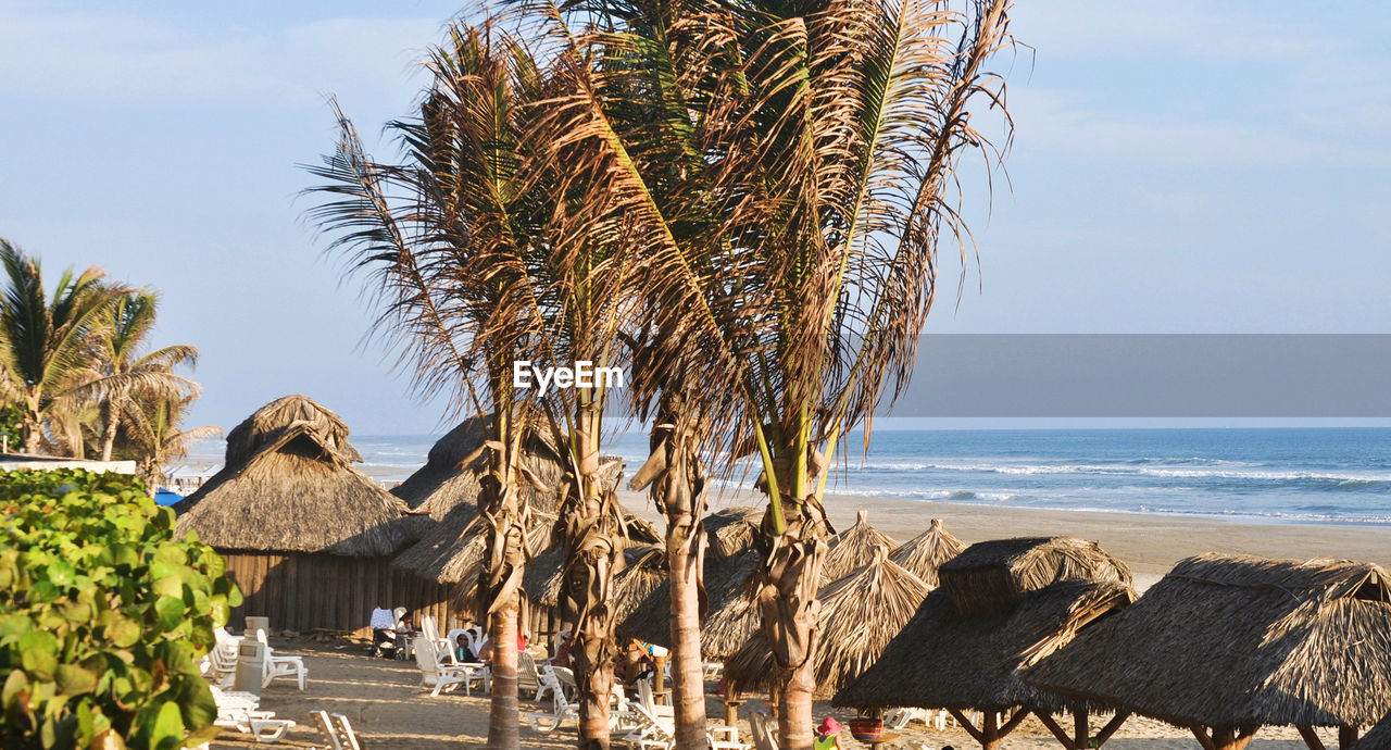 PALM TREES BY SEA AGAINST SKY