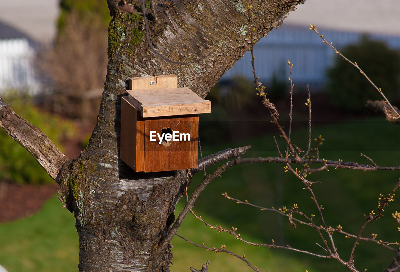 CLOSE-UP OF BIRDHOUSE AGAINST TREE TRUNK