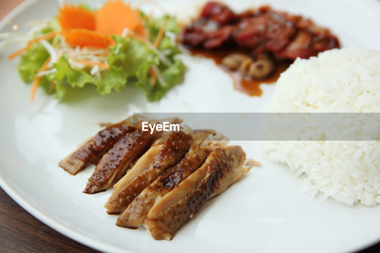 CLOSE-UP OF MEAL SERVED ON PLATE