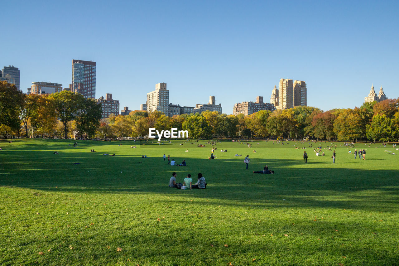 The sheep meadow, central park