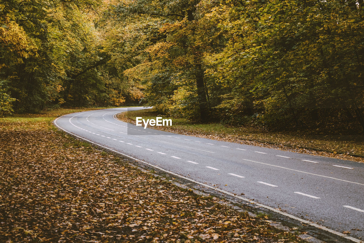 EMPTY ROAD BY TREES DURING AUTUMN