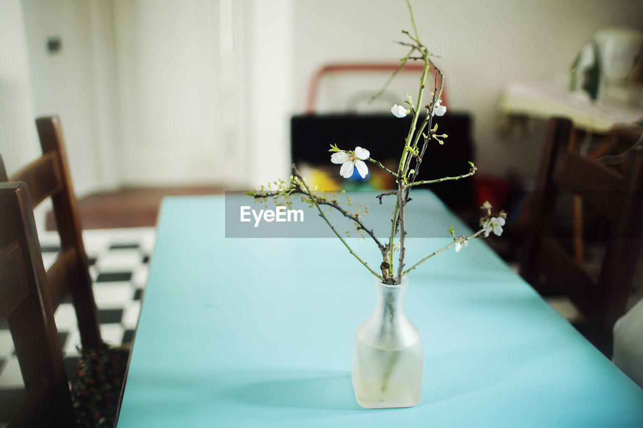 Close-up of vase on table at home