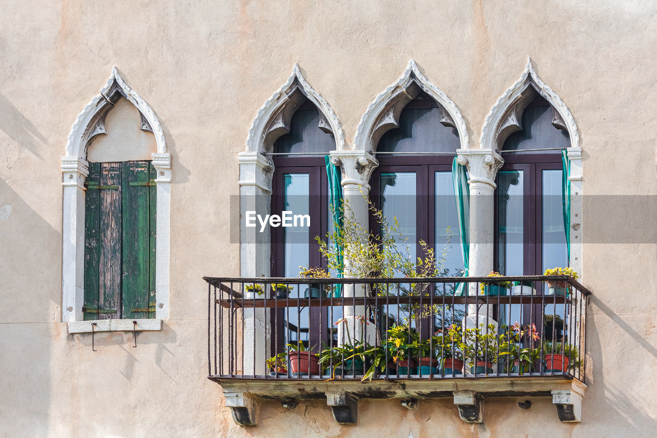 LOW ANGLE VIEW OF POTTED PLANTS IN BUILDING