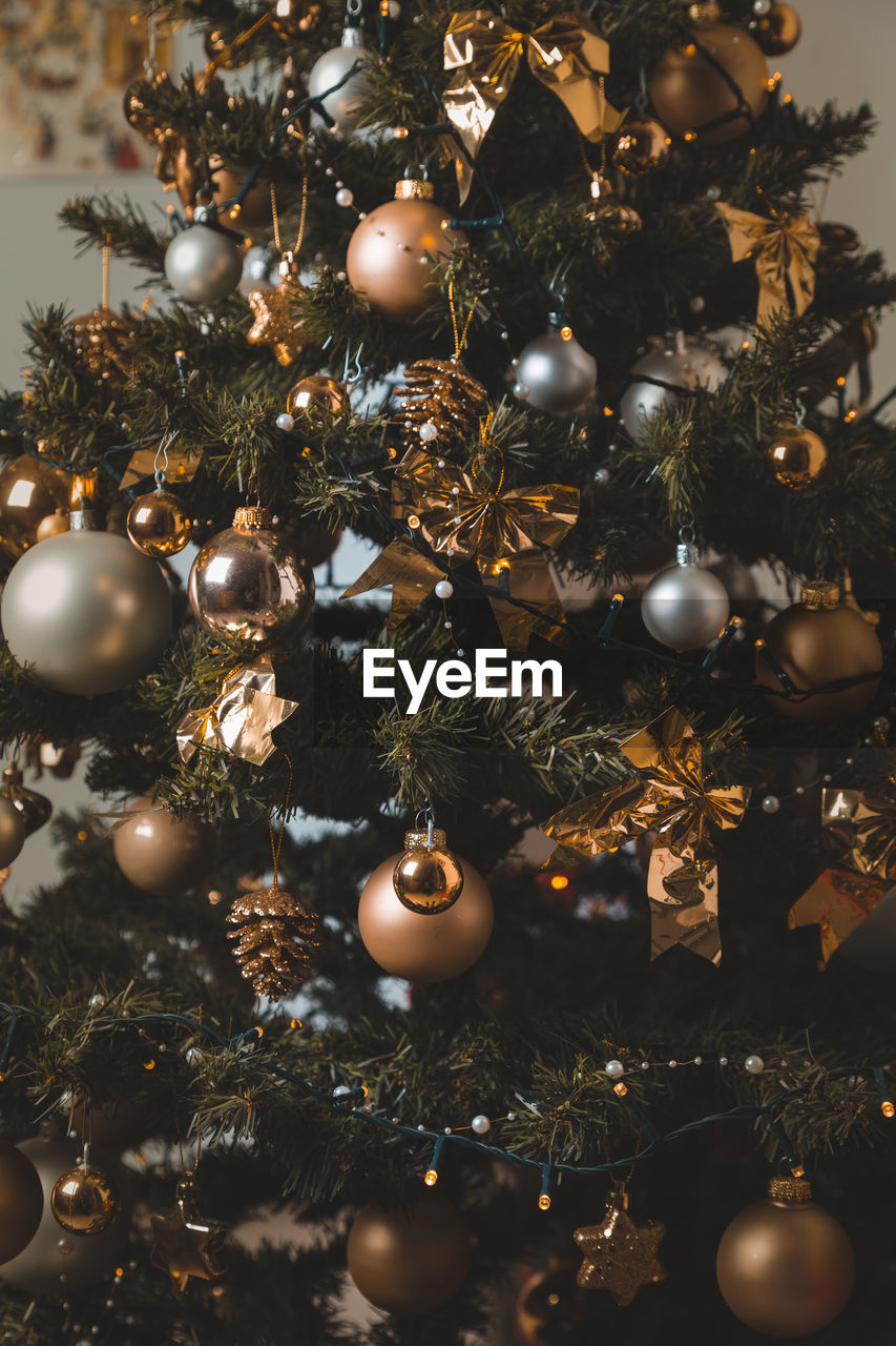 Close-up of christmas tree