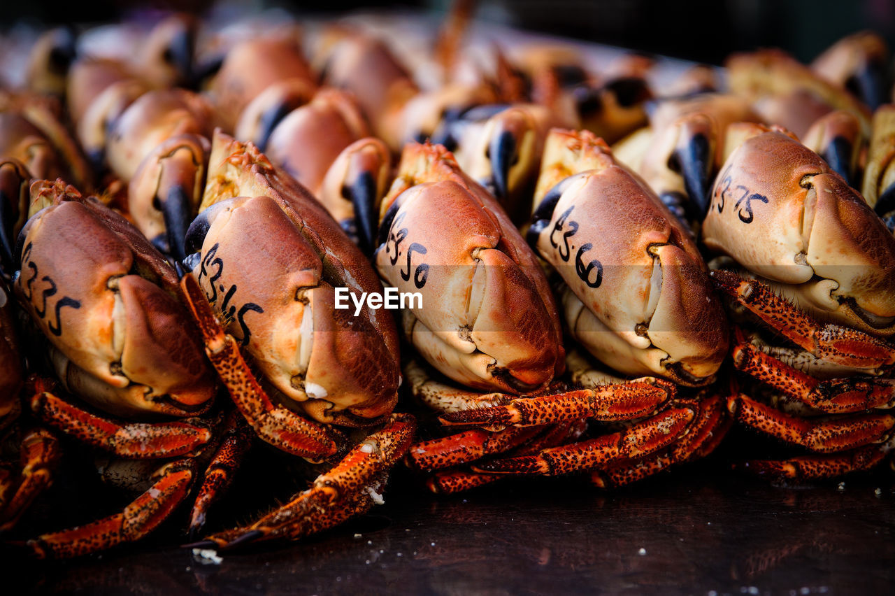 Crabs on market stall for sale