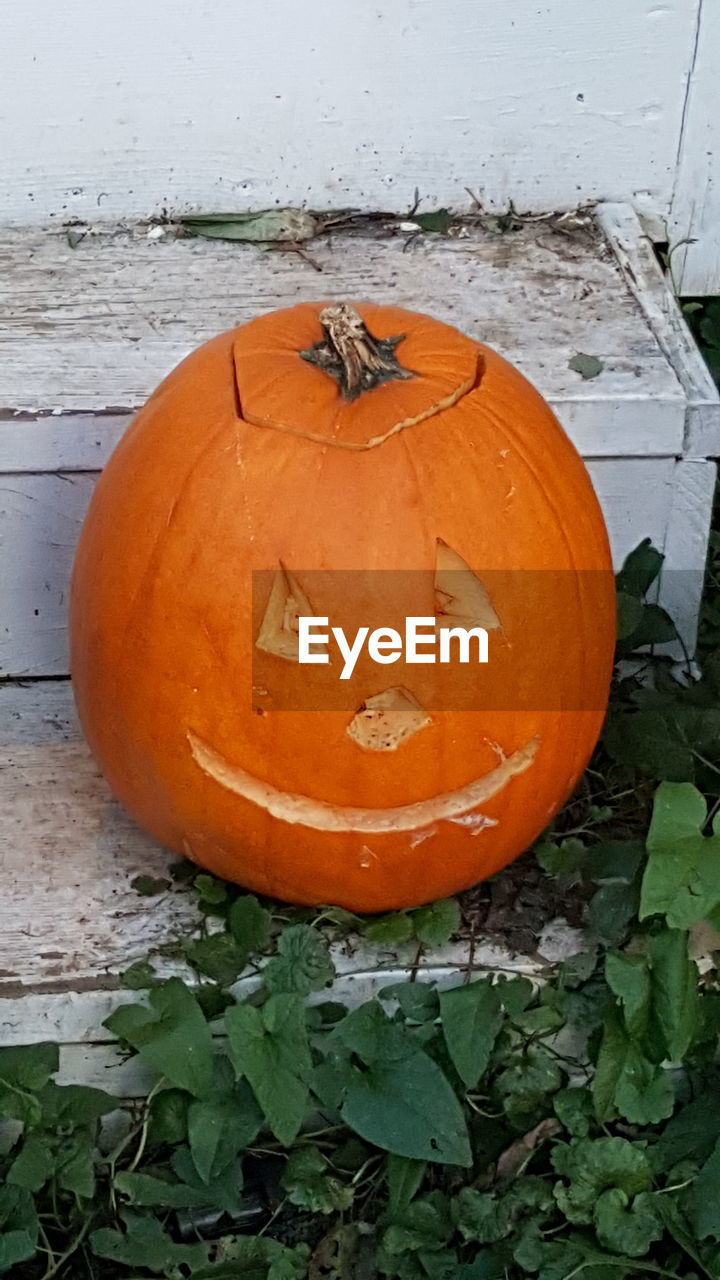 CLOSE-UP OF PUMPKIN ON WOOD DURING HALLOWEEN