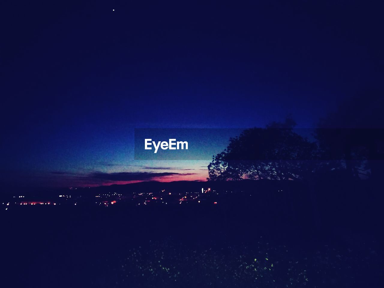 SILHOUETTE TREES AGAINST ILLUMINATED SKY AT NIGHT