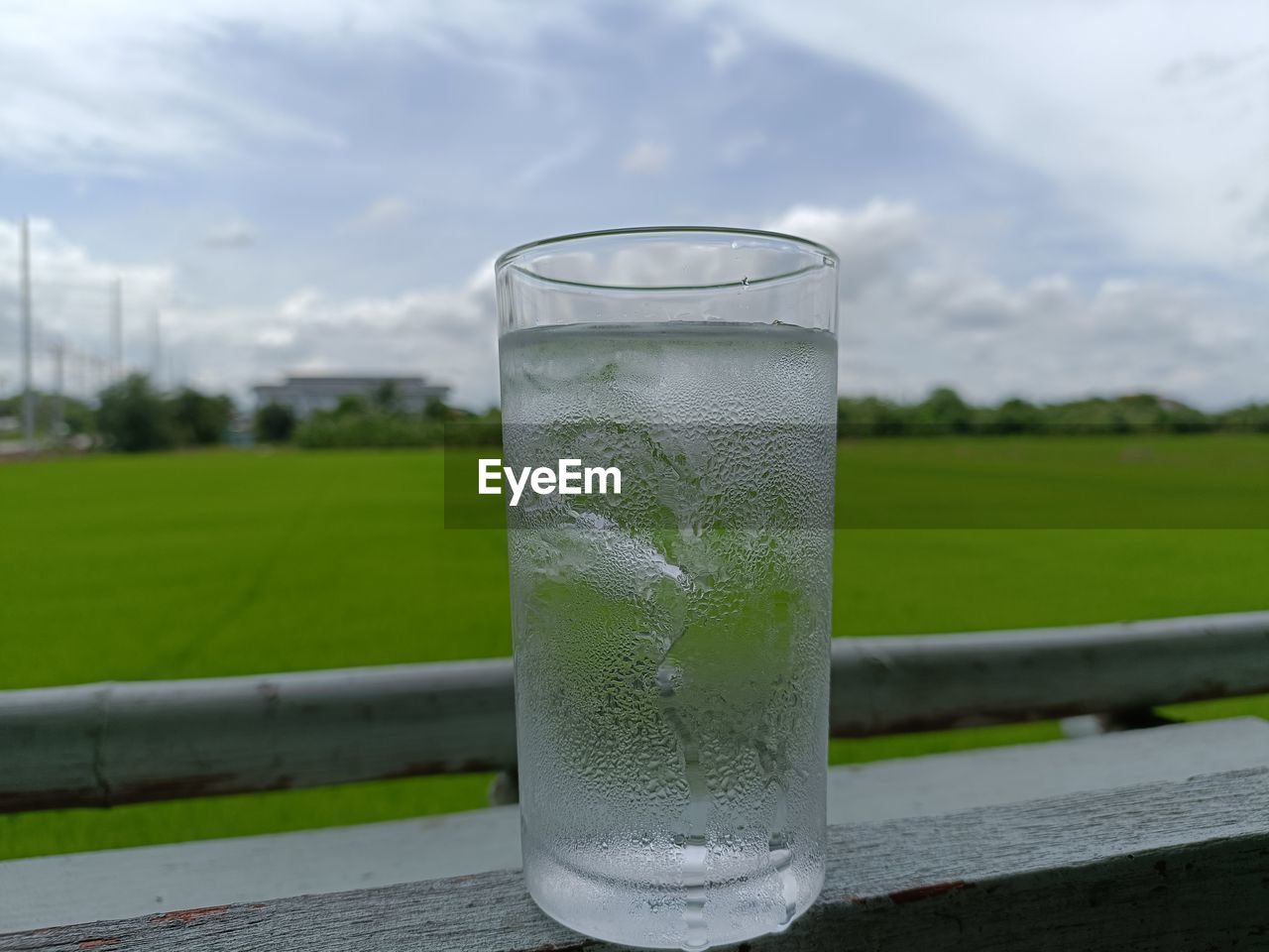 soft drink, refreshment, drink, food and drink, drinking glass, glass, water, household equipment, green, sky, highball glass, nature, cloud, grass, freshness, focus on foreground, no people, day, outdoors, alcoholic beverage, close-up, plant, food, healthy eating