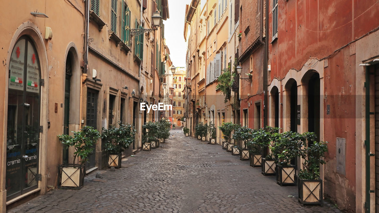 Morning in rome. via dei coronari, flower street