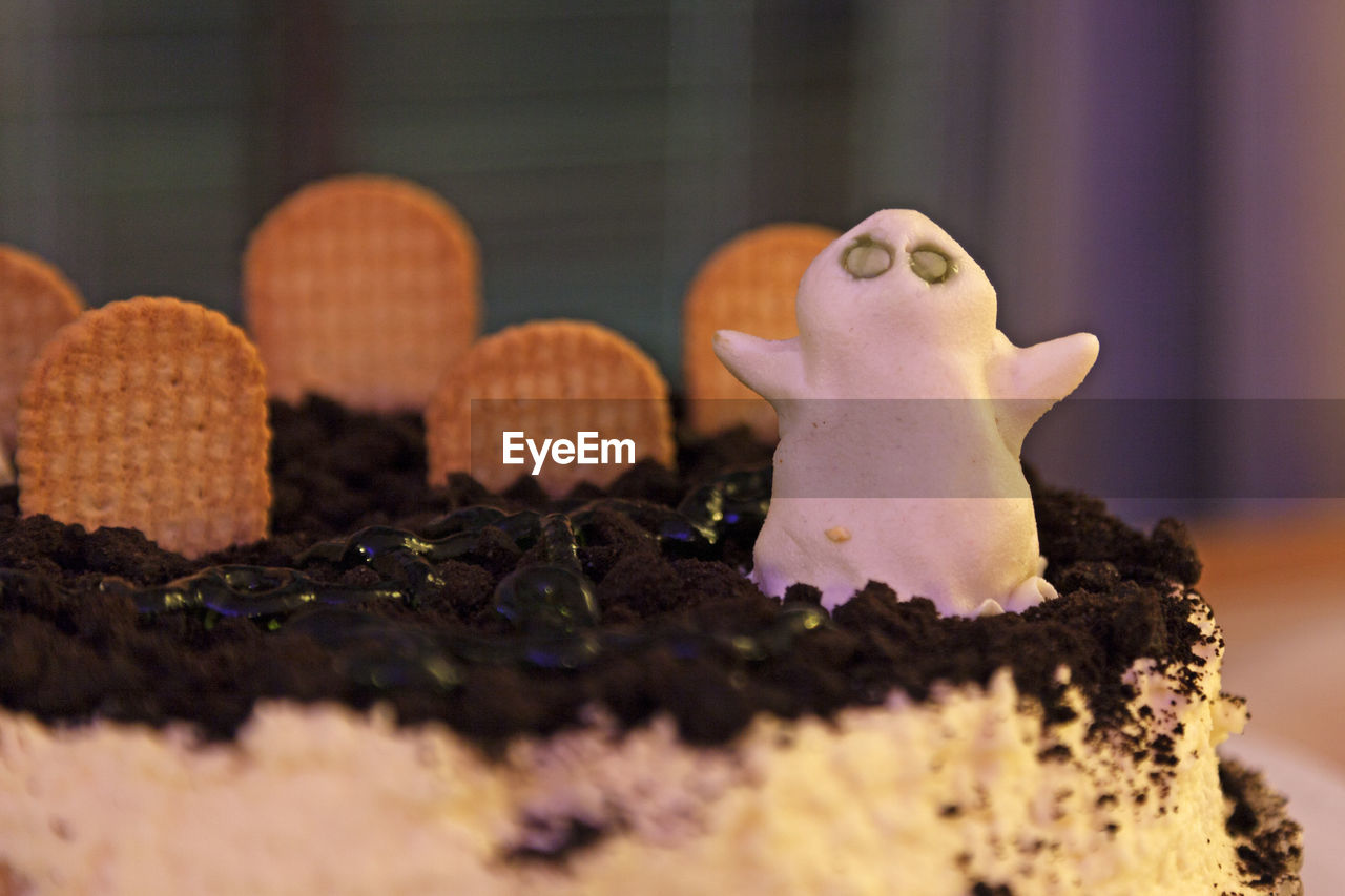 CLOSE-UP OF CAKE ON PLANT AGAINST WALL