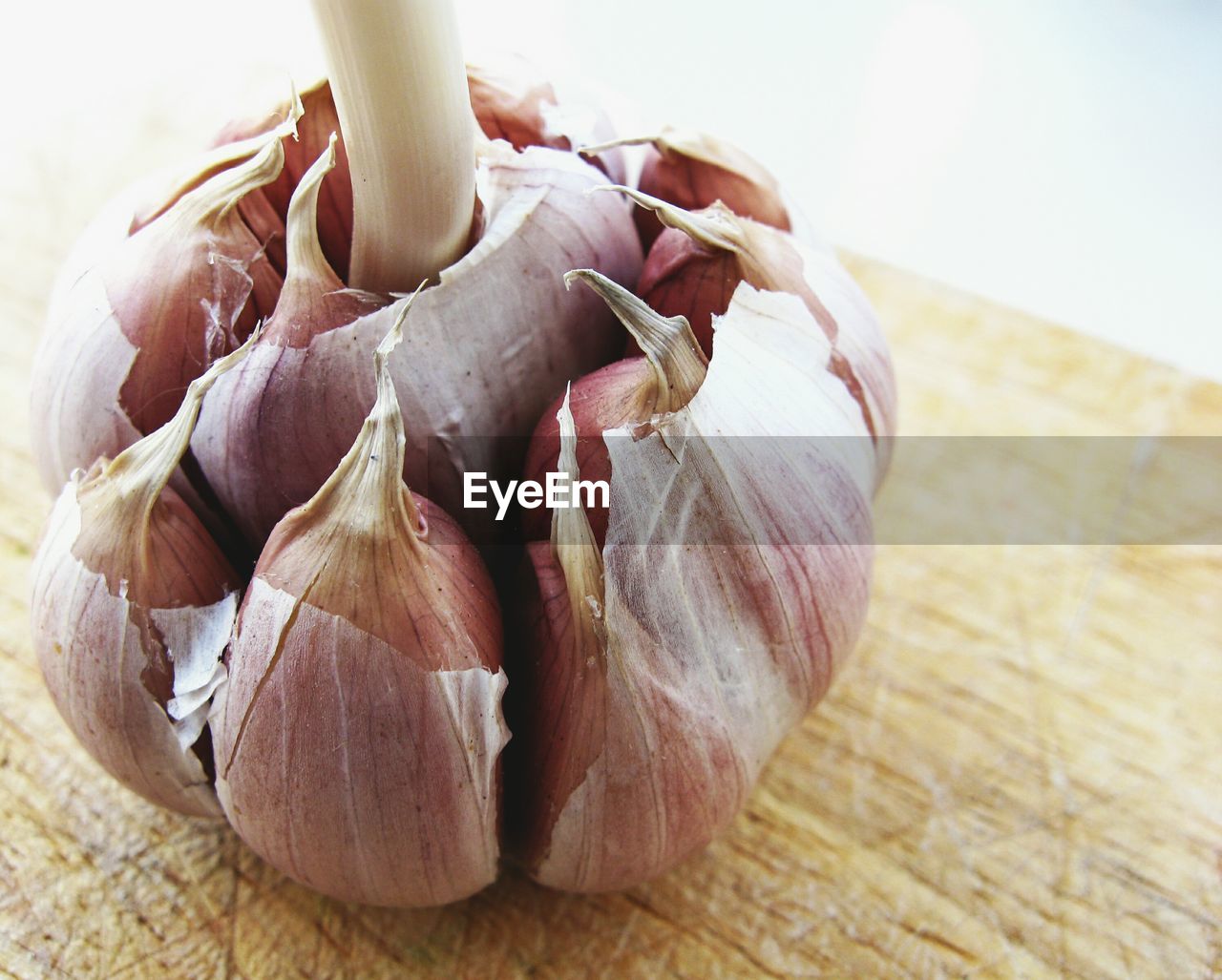 Close-up of garlic on table