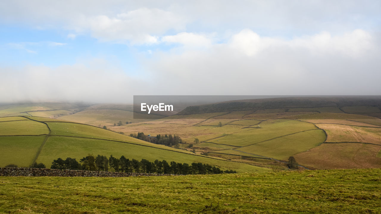 landscape, environment, land, scenics - nature, hill, plain, field, rural scene, grassland, sky, rural area, agriculture, cloud, beauty in nature, plant, nature, tranquility, tranquil scene, farm, green, horizon, no people, pasture, highland, crop, prairie, plateau, grass, non-urban scene, growth, fog, day, idyllic, morning, outdoors, meadow, social issues, travel, valley, tree, steppe, environmental conservation